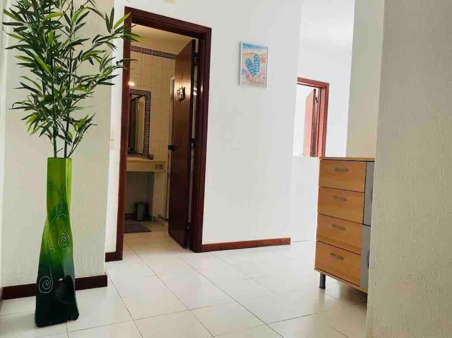 Appartement House т1 Bella Vista